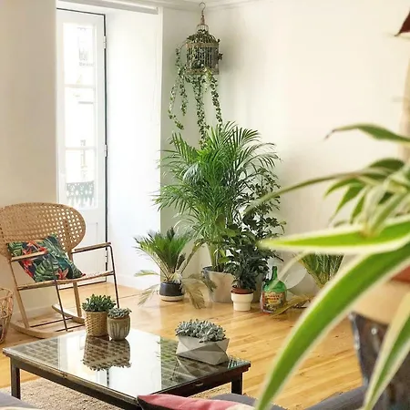 Apartmán Fauna & Flora *