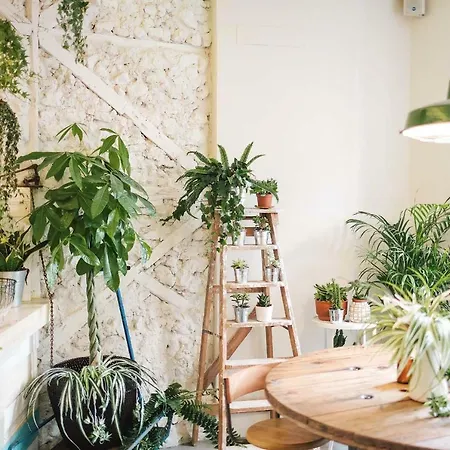 Fauna & Flora Apartmán Lisboa