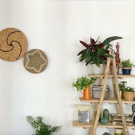 Fauna & Flora Lejlighed *
