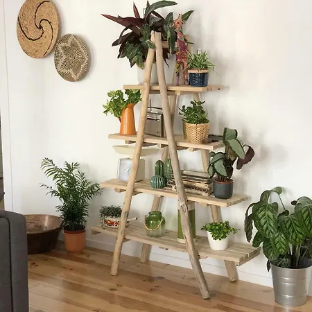 Fauna & Flora * Lisbona