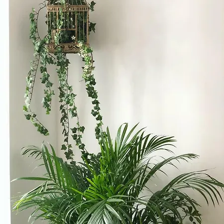 Lejlighed Fauna & Flora *