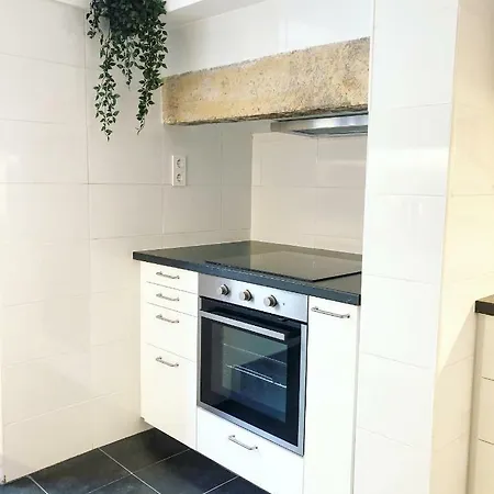 Apartment Fauna & Flora