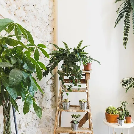 Apartment Fauna & Flora Lissabon